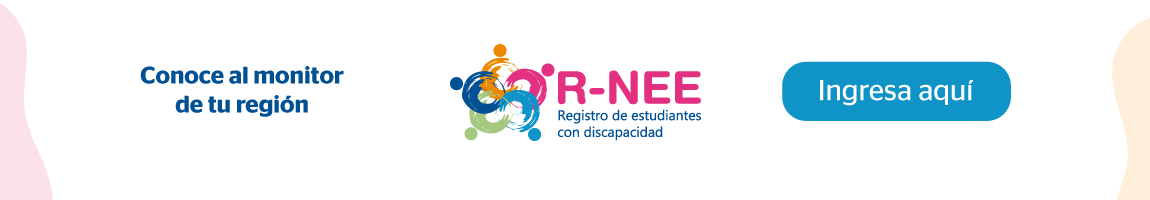 bannerweb-monitores-RNEE