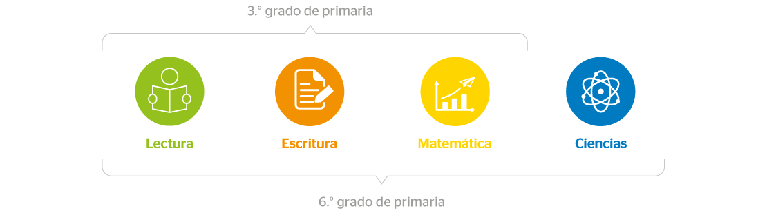 ERCE2025-areas-y-grados