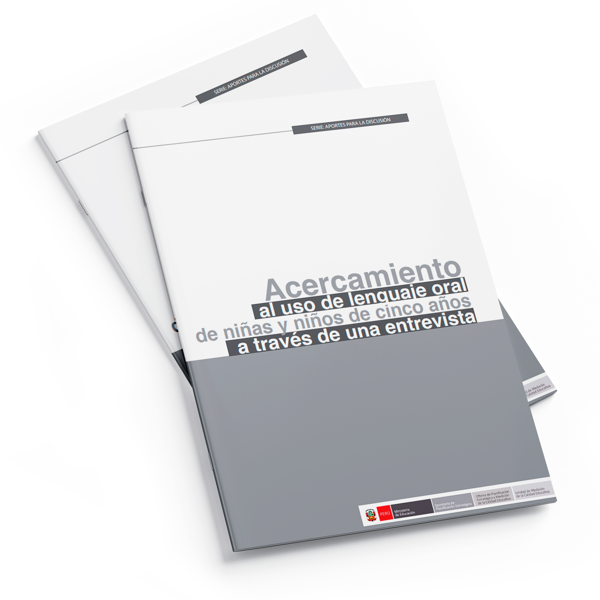 mockup-Acercamiento-al-uso-de-lenguaje-oral